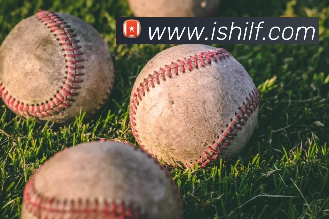 开云手机站官方版网站登录入口 - 开云(中国)服务体系